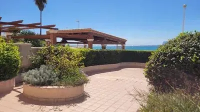 Apartment in Playa del Arenal Bol-Playa del Cantal Roig photo 27
