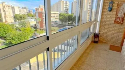 Apartment on Avenida de Benidorm photo 4