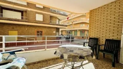 Pis – Torrevieja, La Mata - Vista 4