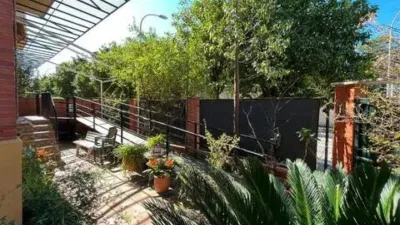 Apartment in Pineda-Pedro Salvador photo 7