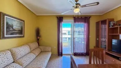 Pis – Torrevieja - Vista 4