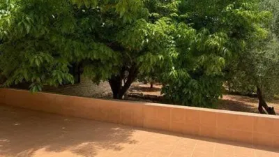 Chalet in Espinardo photo 3