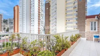 Piso – Benidorm - Vista 5
