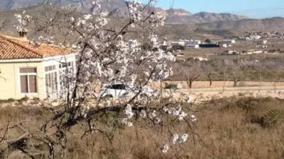 Terreno en venta en Hondón de los Frailes - Vista 5