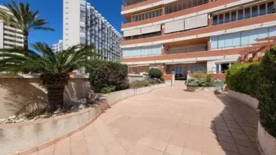 Apartment in Playa del Arenal Bol-Playa del Cantal Roig photo 36