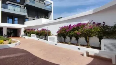 Apartment on Avenida de Rumanía photo 15