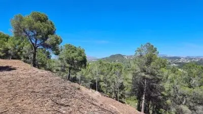 Terreno en venta en Oltamar-Cucarres - Vista 5