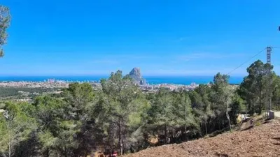Terreno en venta en Oltamar-Cucarres - Más