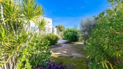 Detached Villa in Centro photo 5