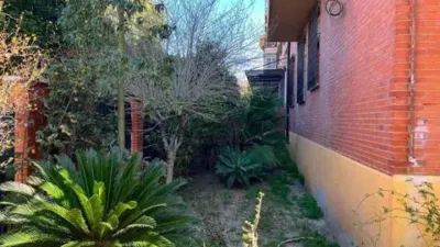 Apartment in Pineda-Pedro Salvador photo 5