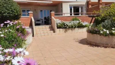 Apartment in Playa del Arenal Bol-Playa del Cantal Roig photo 37