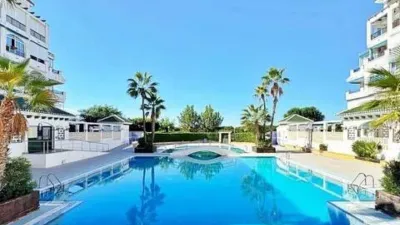 Piso – Torrevieja - Vista 2