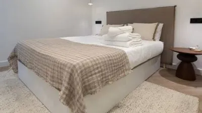Apartment in Recoletos photo 15