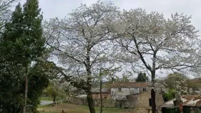 Terreno en venta en Bertamiráns - Vista 4
