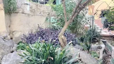 Rustic house at Calle Poligono 19 Parcela 104 No Number photo 28