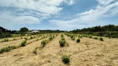 Terreno en venta en Benissa Pueblo - Vista 3