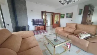 Chalet in Platja Muchavista photo 59