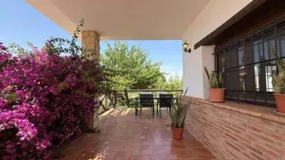 Chalet in Agost photo 4