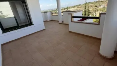 Pis – Orihuela, Lomas de Campoamor, Villa Martín - Més