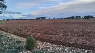 Terreno en venta en Calle N-A, -1 - Vista 5