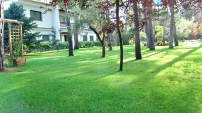 Chalet in Urbanización Pinares del Júcar photo 17