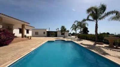 Chalet in Agost photo 5