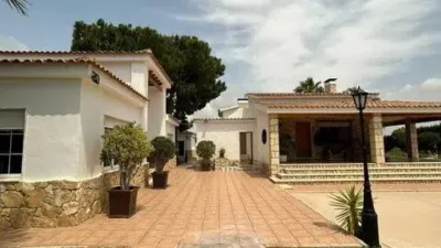 Casa – Elx - Elche - Vista 2