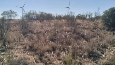 Terreno en venta en Munera - Vista 4