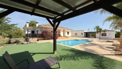 Chalet in Agost photo 8