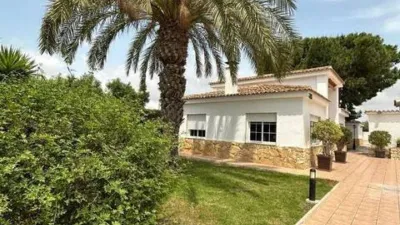 Casa – Elx - Elche - Vista 4