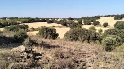 Terreno en venta en Munera - Vista 3