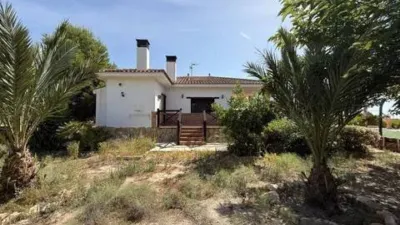 Chalet in Agost photo 33