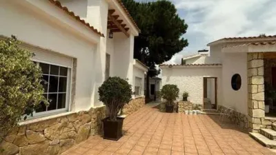 Casa – Elx - Elche - Vista 3