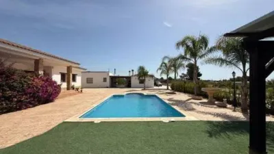 Chalet in Agost photo 7