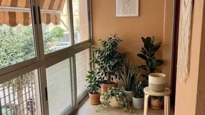 Apartment on Calle Zorrilla photo 2