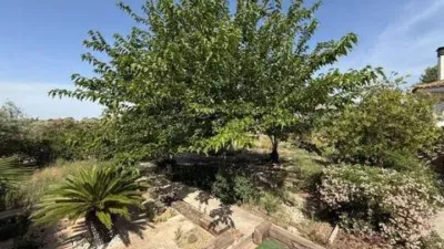 Chalet in Agost photo 32