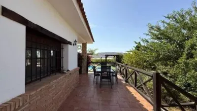 Chalet in Agost photo 16