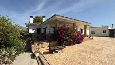 Chalet in Agost photo 9