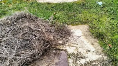 Terreno en venta en Calle de los Ángeles - Vista 4