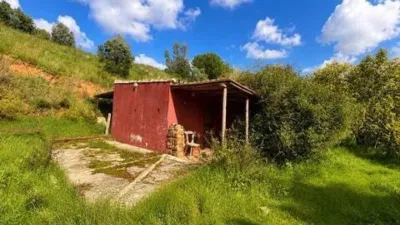 Rustic property in La Cala Golf-Lagar Martell photo 30