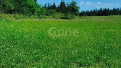 Rustic house in photo 10