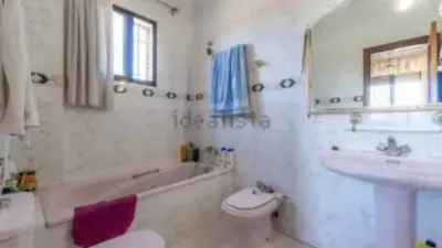 Chalet in La Carlota photo 7