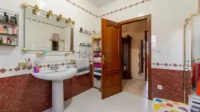 Chalet in La Carlota photo 19