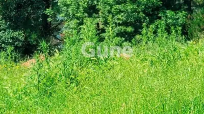 Rustic house in photo 14
