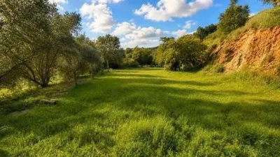 Rustic property in La Cala Golf-Lagar Martell photo 32
