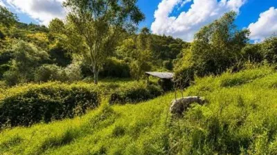 Rustic property in La Cala Golf-Lagar Martell photo 34