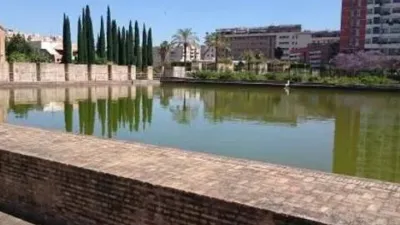 Piso en La Buhaira-San Bernardo photo 50
