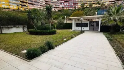 Apartment in Los Pacos photo 18