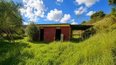 Rustic property in La Cala Golf-Lagar Martell photo 29