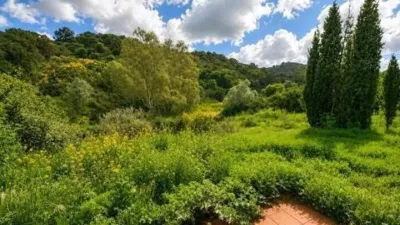 Rustic property in La Cala Golf-Lagar Martell photo 25